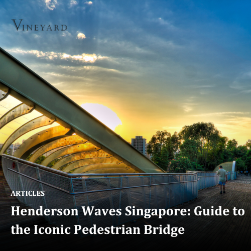 Henderson Waves Singapore: Guide to the Iconic Pedestrian Bridge