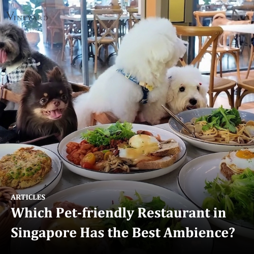 Which Pet-friendly Restaurant in Singapore Has the Best Ambience?
