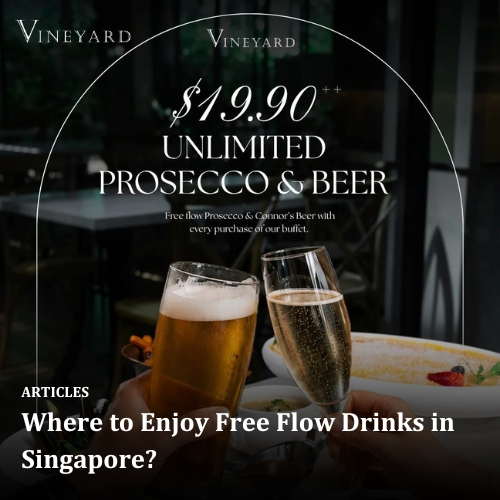 Where to Enjoy Free Flow Drinks in Singapore?