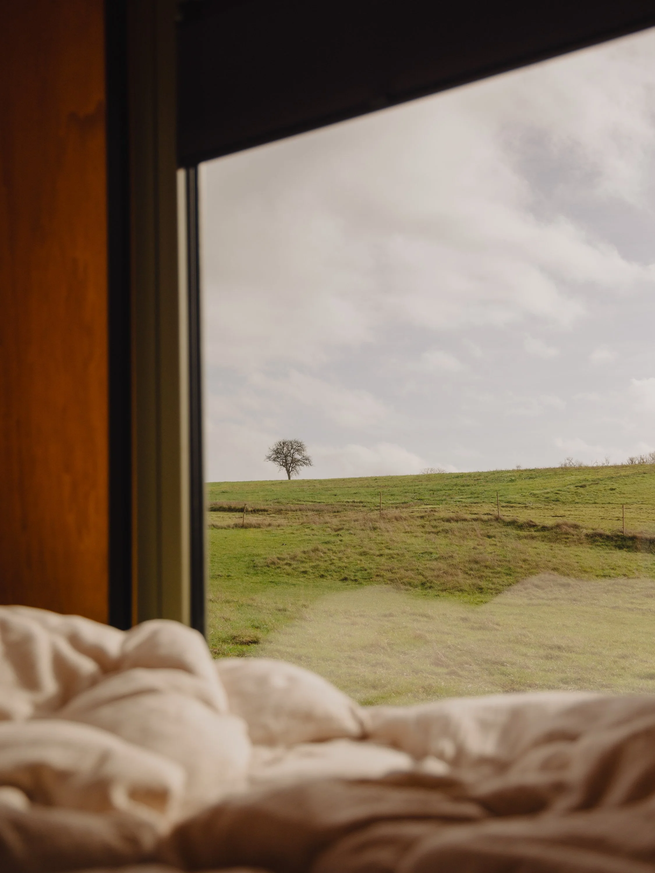 LaPampa - Cabin Schwarznuss