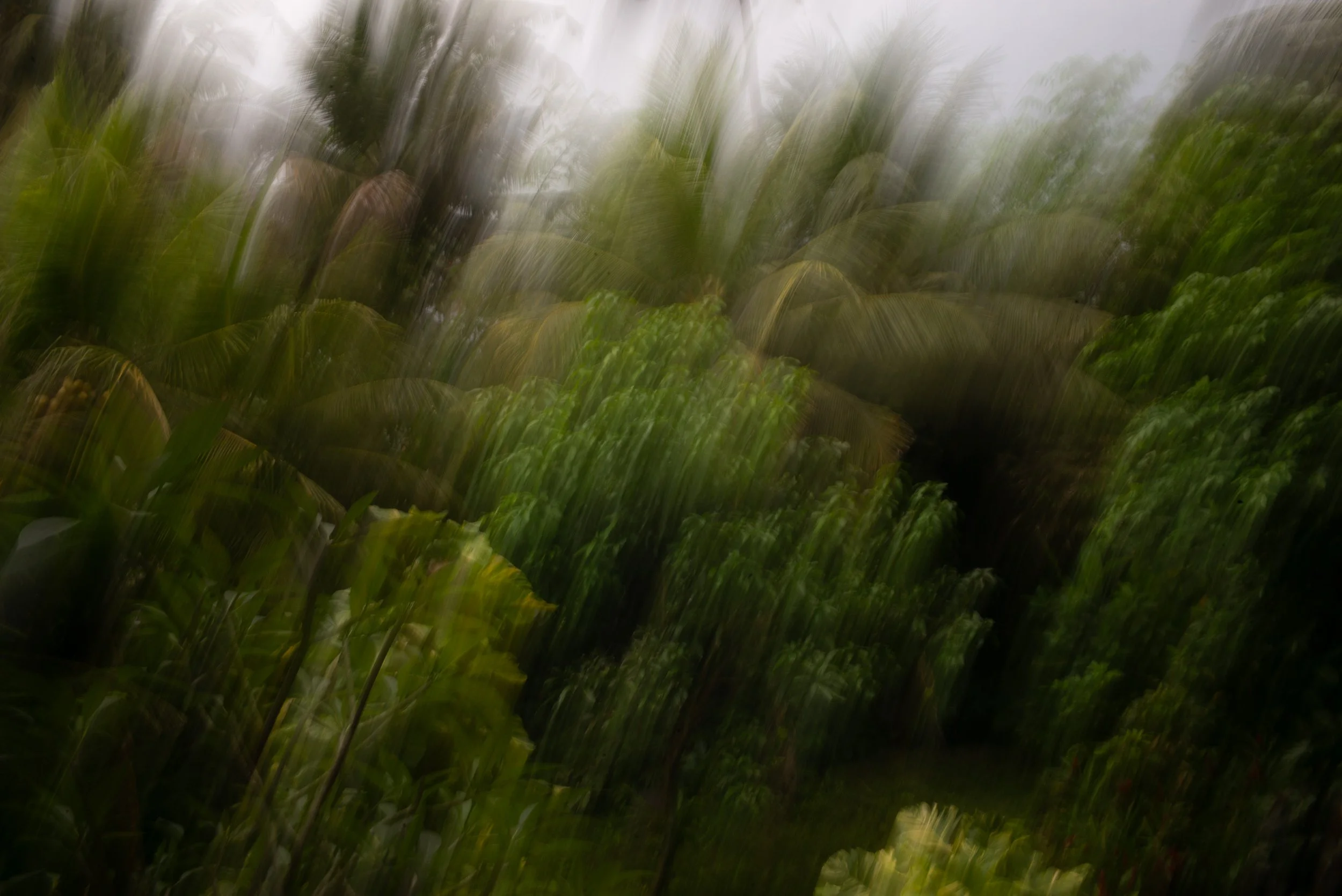 L1008356.jpg