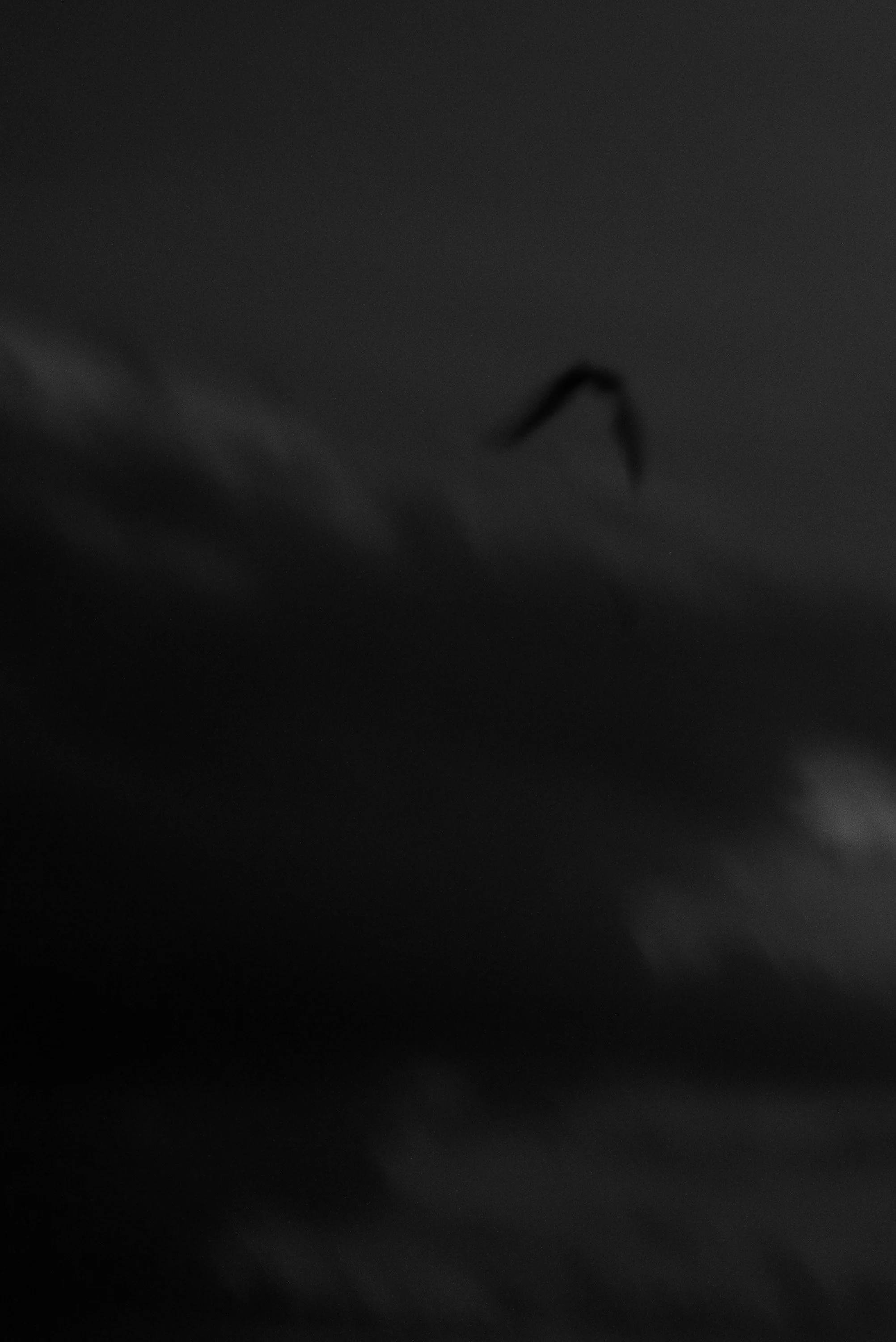 L1008514.jpg