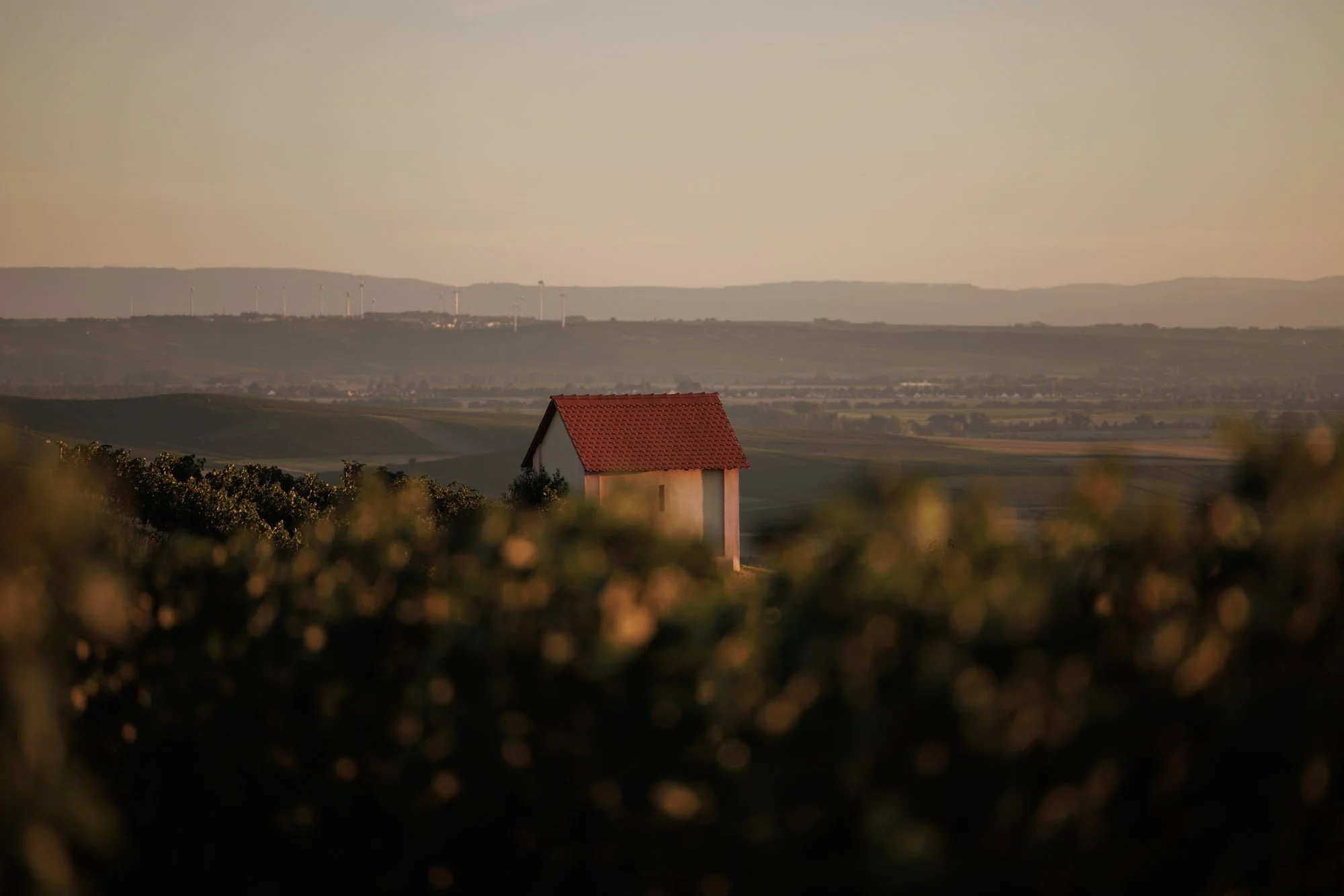 Ein kleines Haus mit rotem Dach inmitten eines Landschaftsbildes, umgeben von Feldern und Büschen, bei Sonnenuntergang.