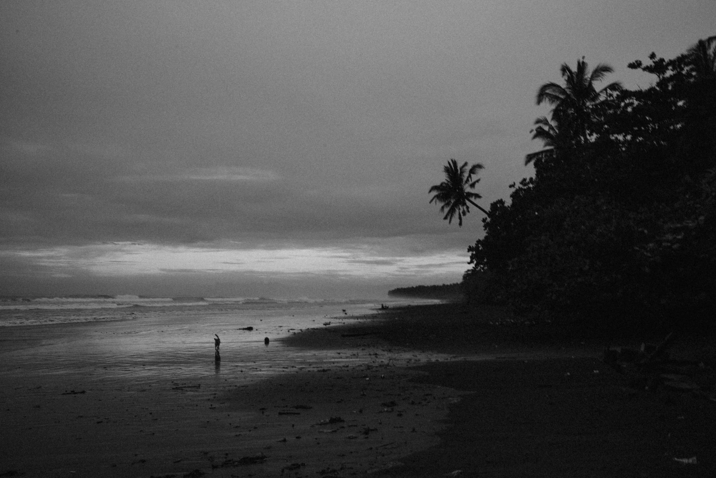 L1008106.jpg