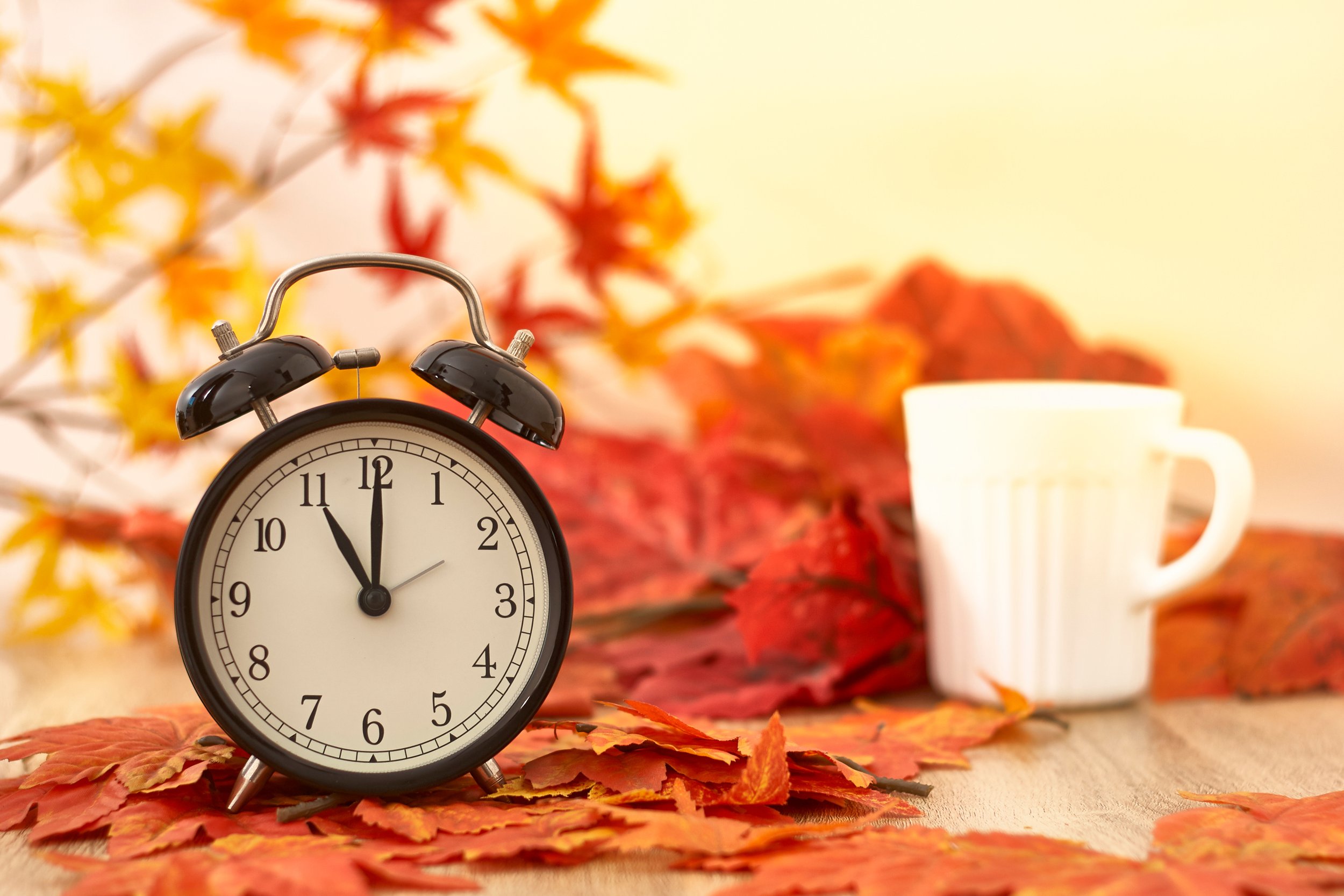 Fall 2023 Newsletter | NAE FCU