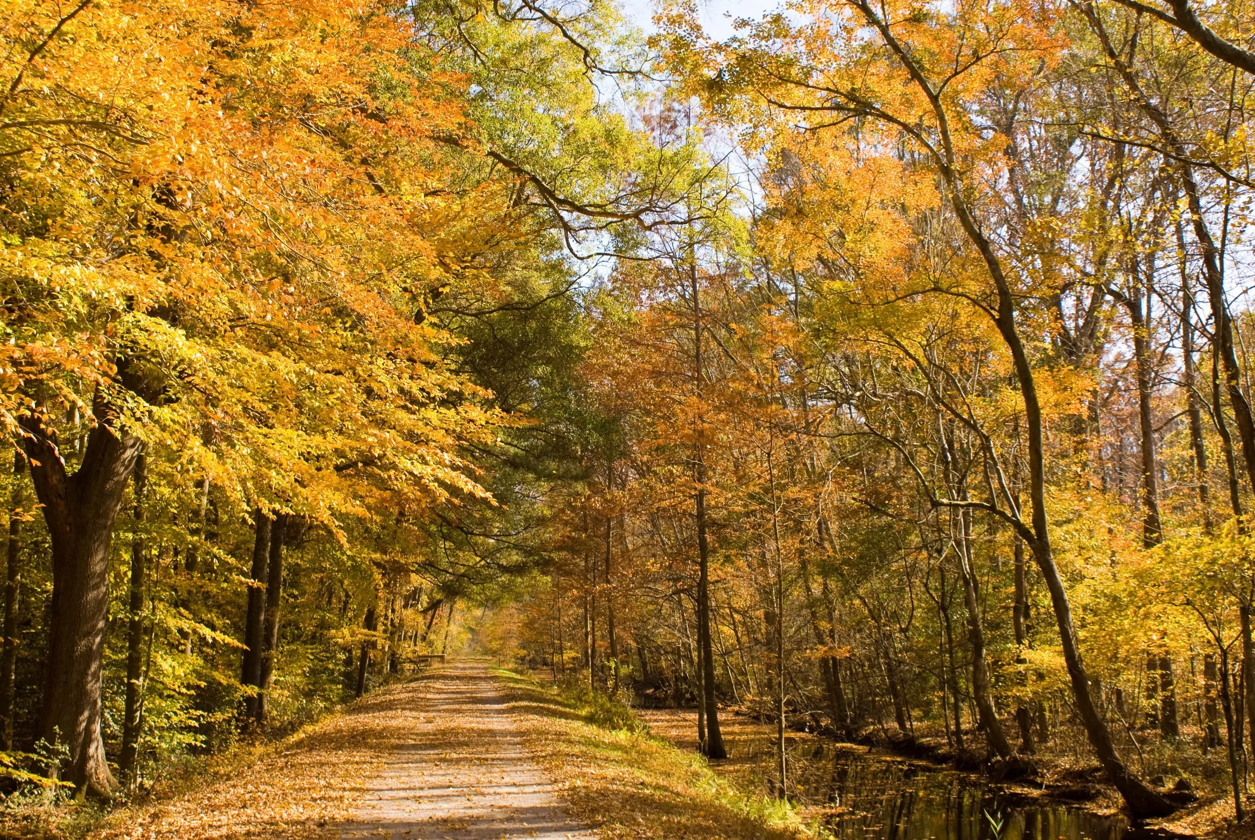 Spring 2026 Newsletter