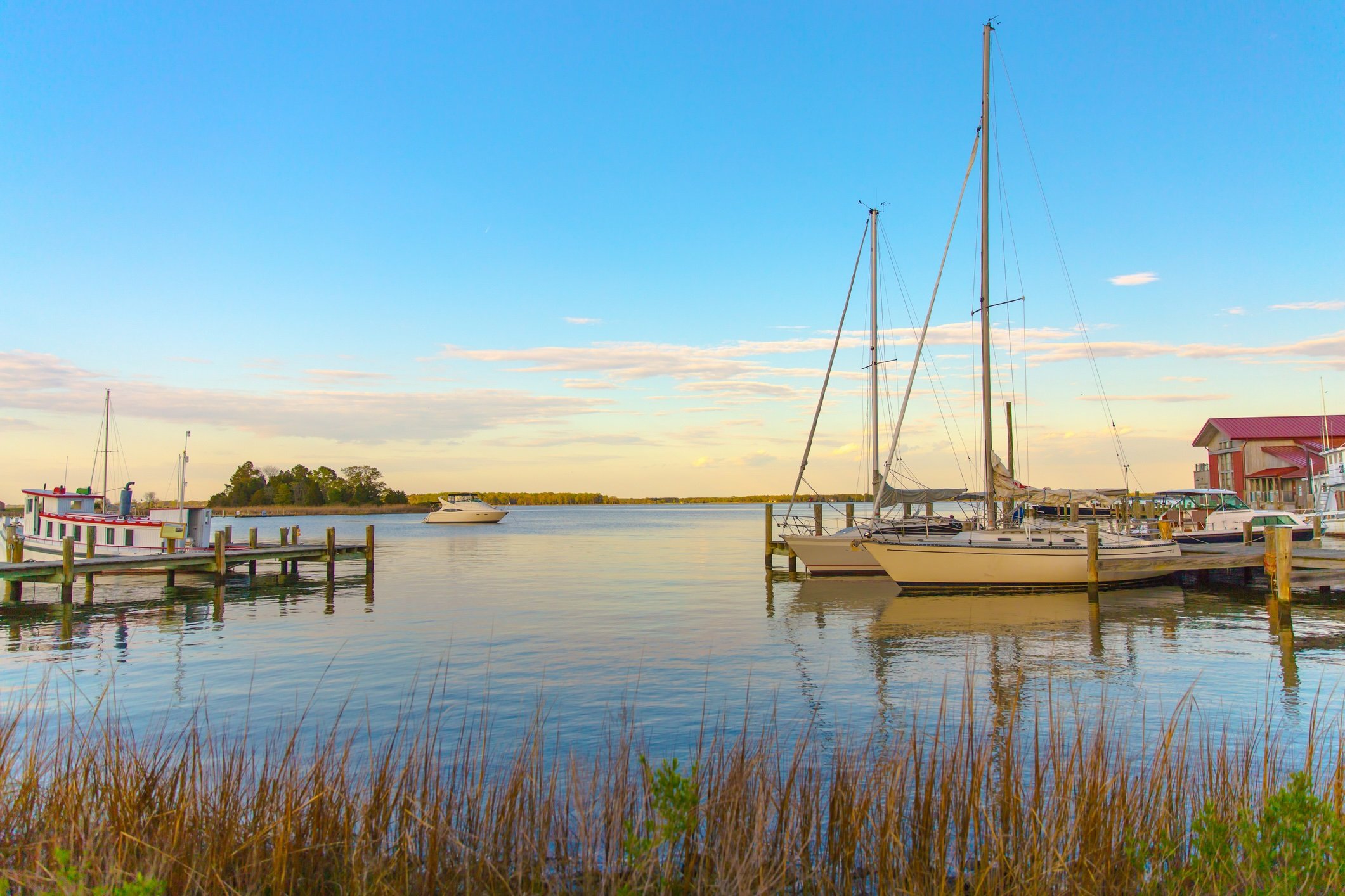 spring_chesapeake_bay.jpeg