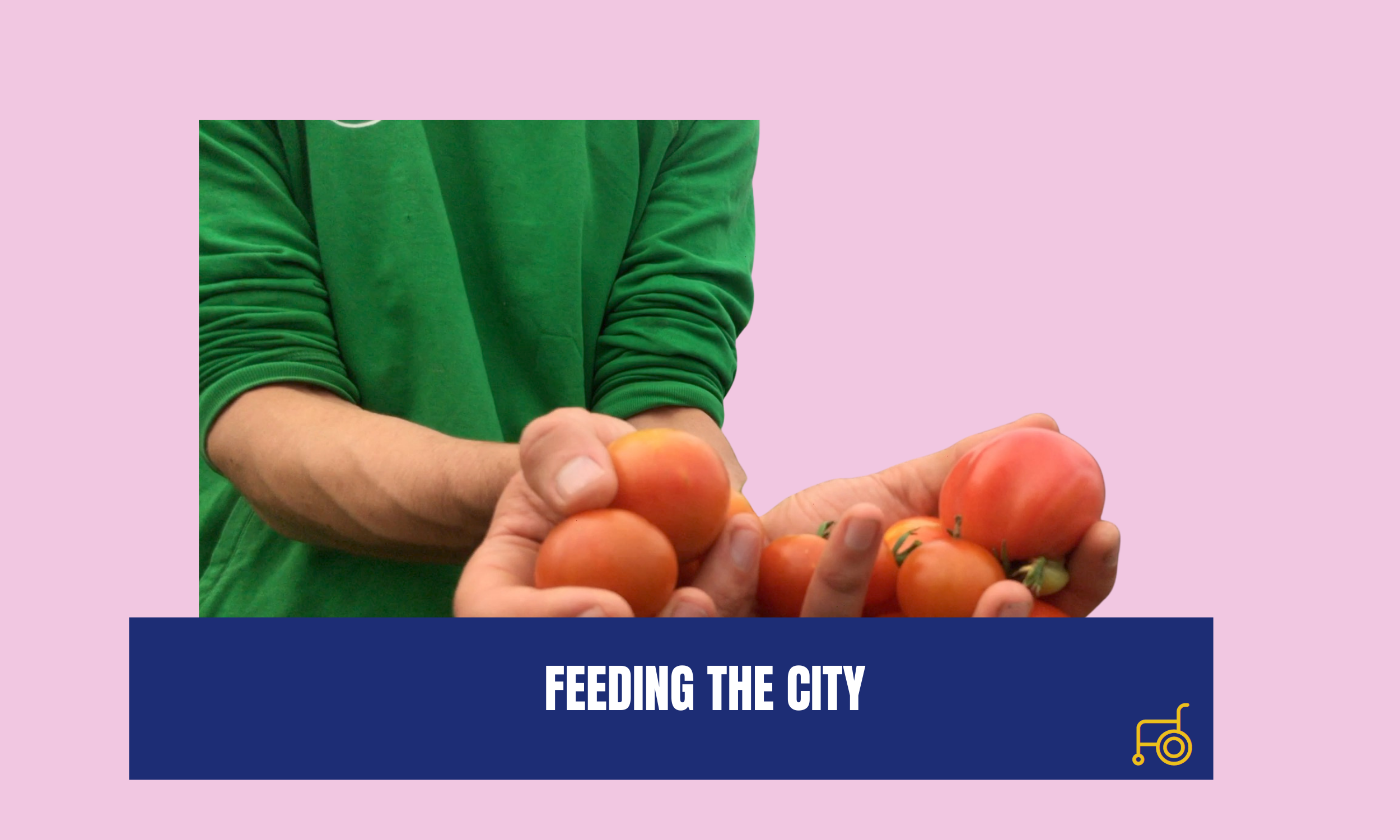 FEEDING THE CITY