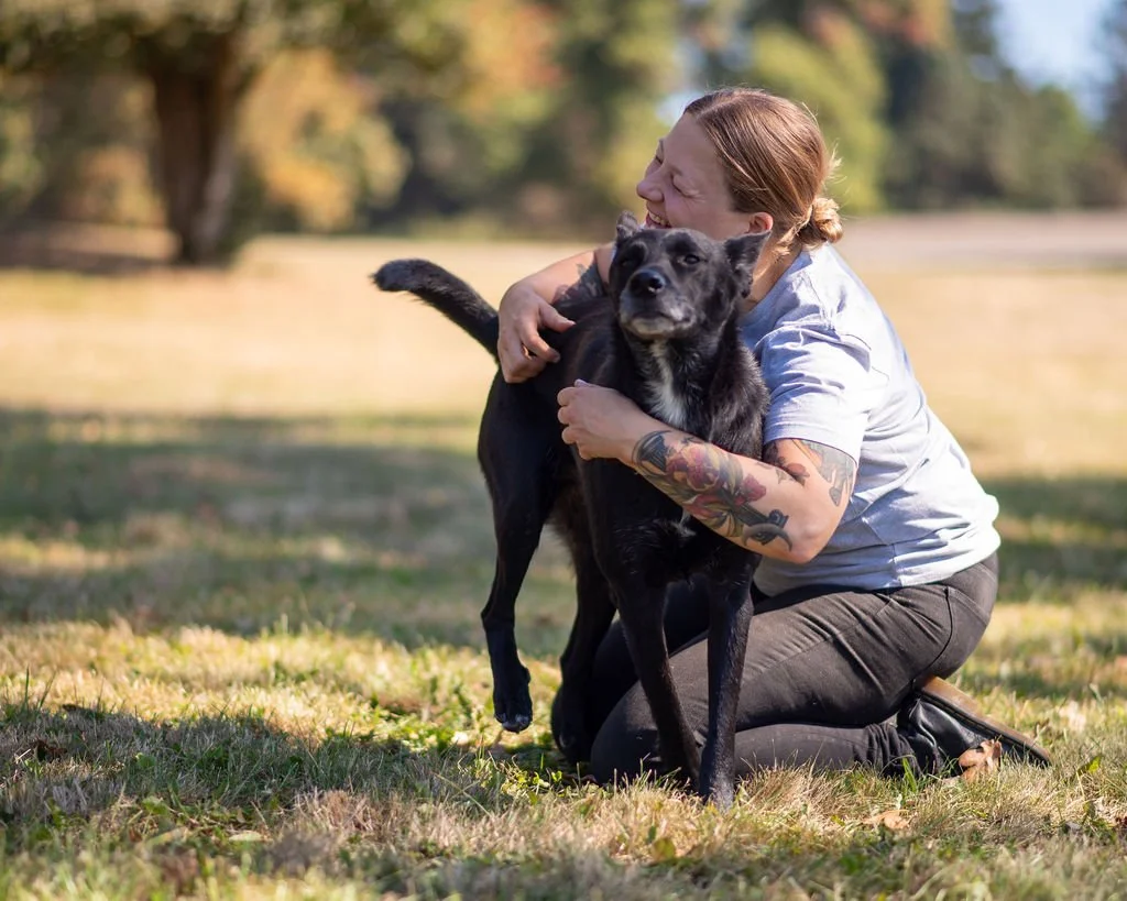What You Need to Know about Adopting a Dog from a Shelter or Rescue