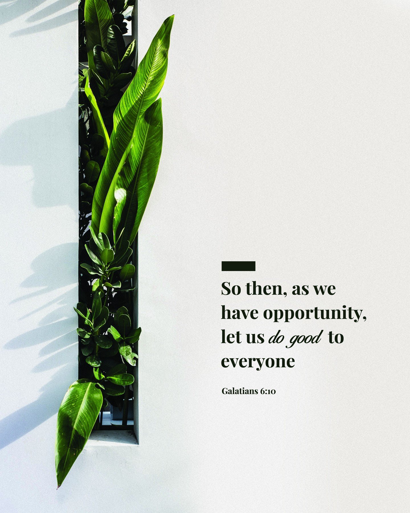 Therefore, as we have opportunity, let us do good to all people, ✨especially to those who belong to the family of believers✨.