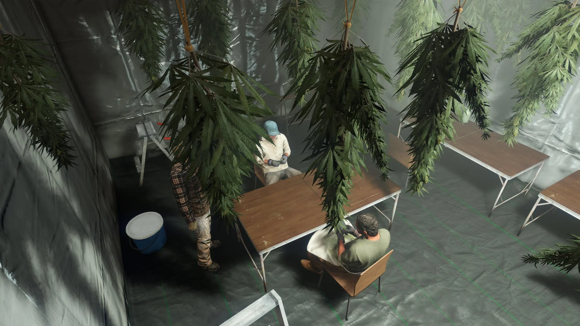 unnamed-3.jpg