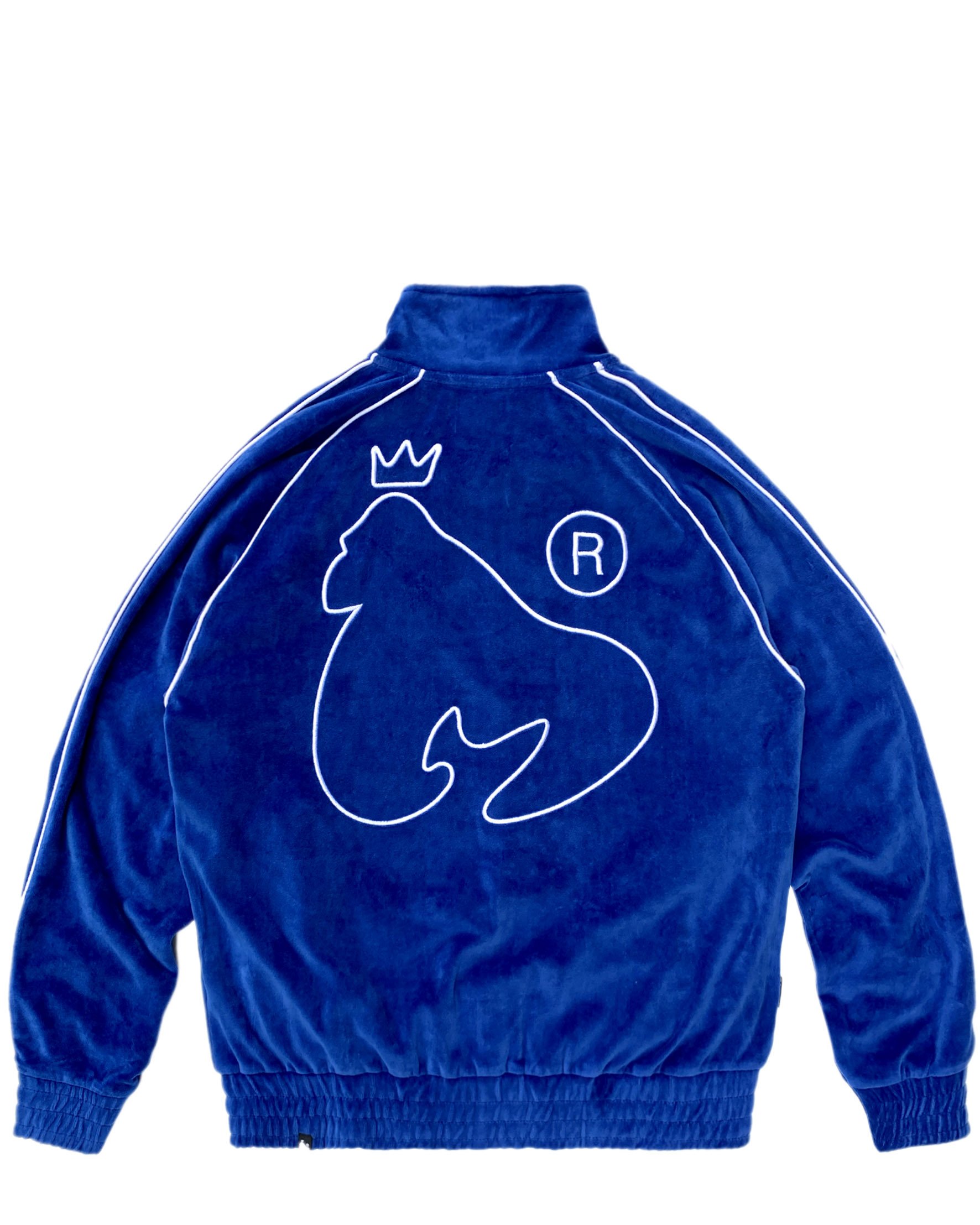 VELOUR TRACK BACK BLUE.jpg