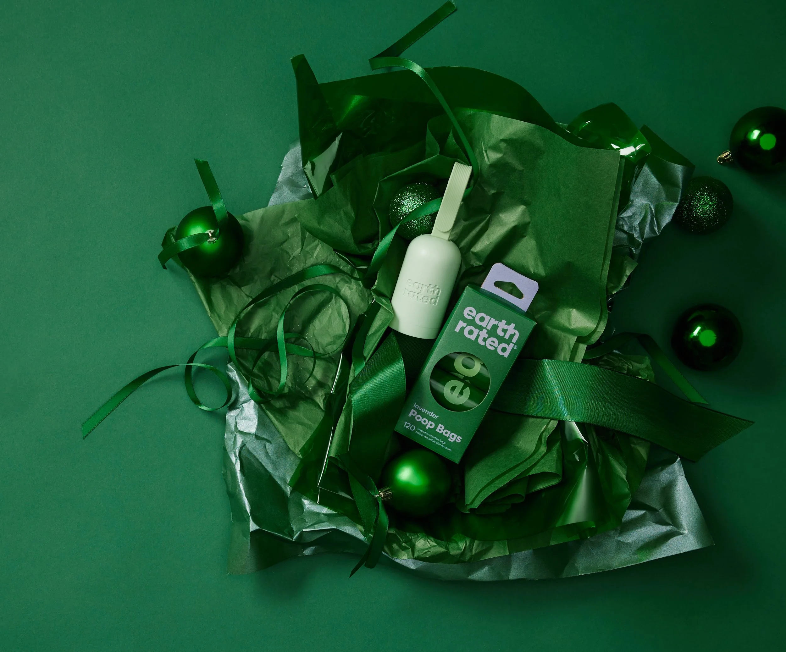 Copy of 20230929_ER_SeasonalStudio0069(1).jpg