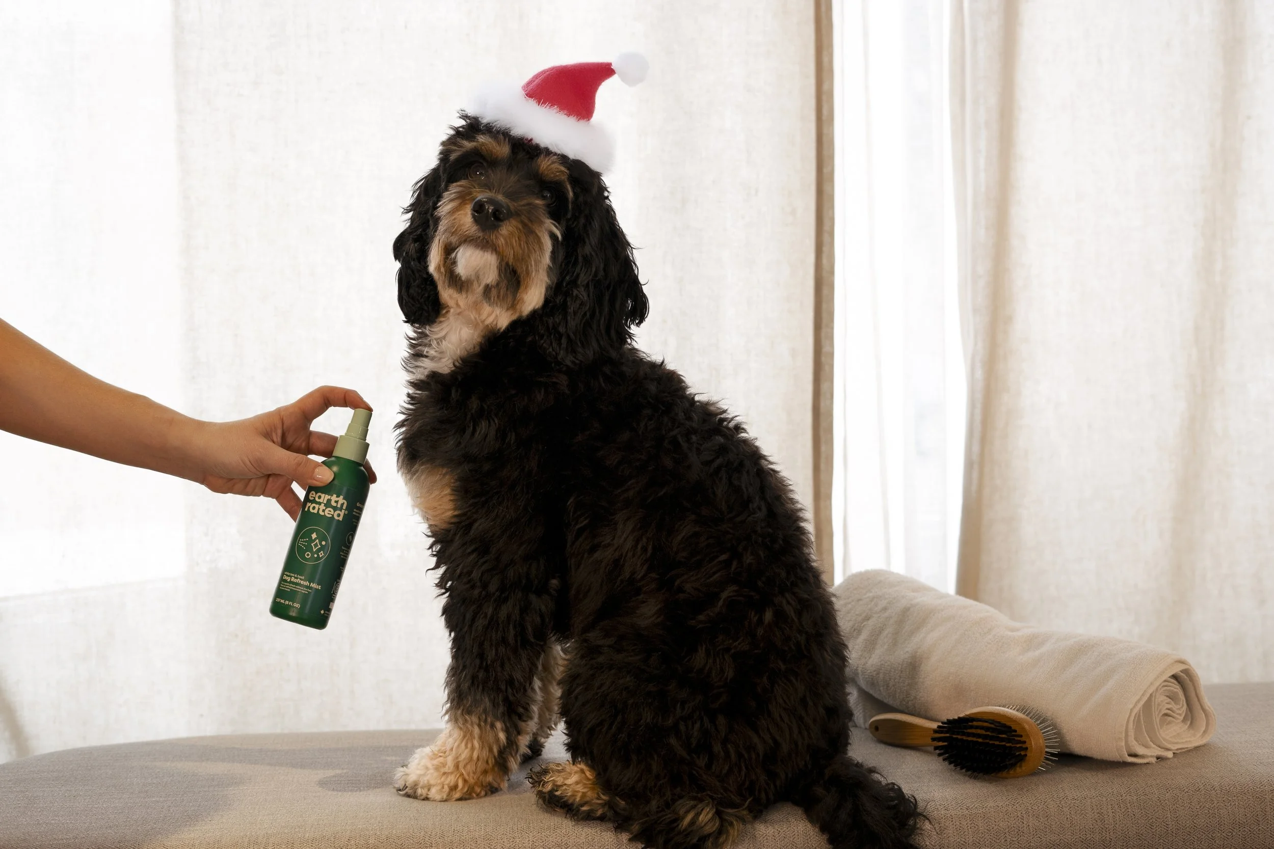 Copy of LS_Refresh Mist_066_Holiday.jpg