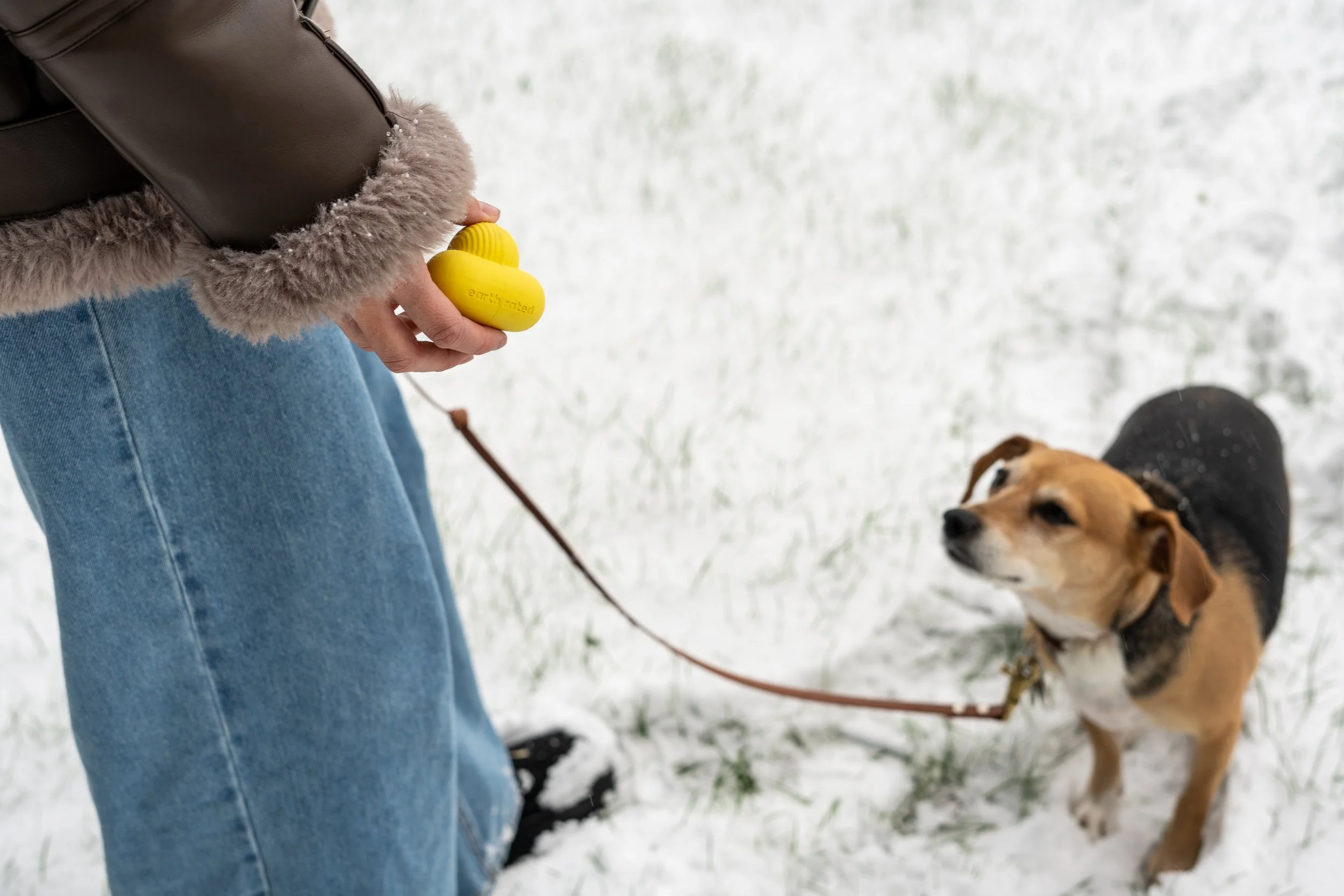 Copy of Peyton-Fetch-Toy-Snow-1.jpg