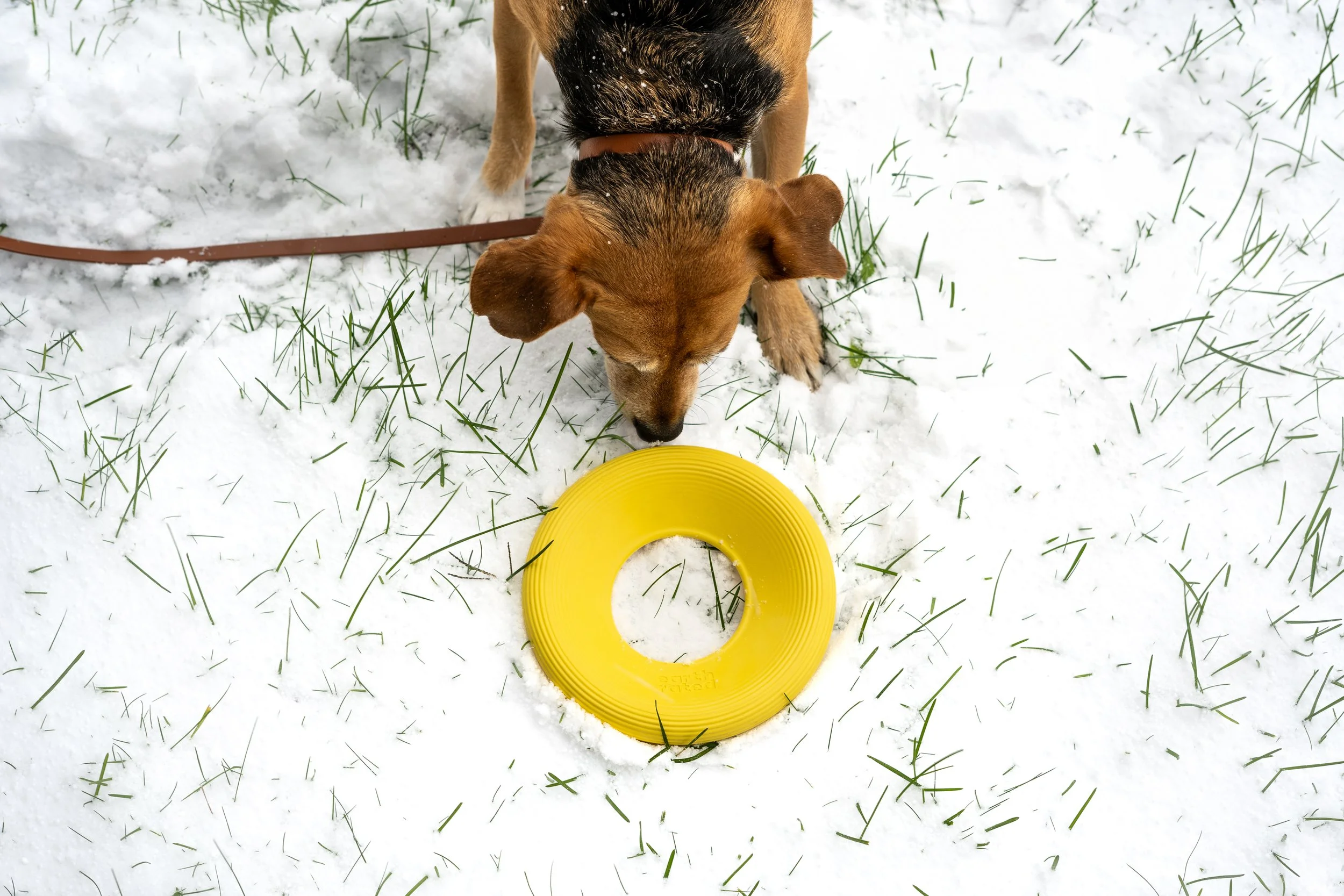 Copy of Peyton-Fly-Toy-Snow-3.jpg