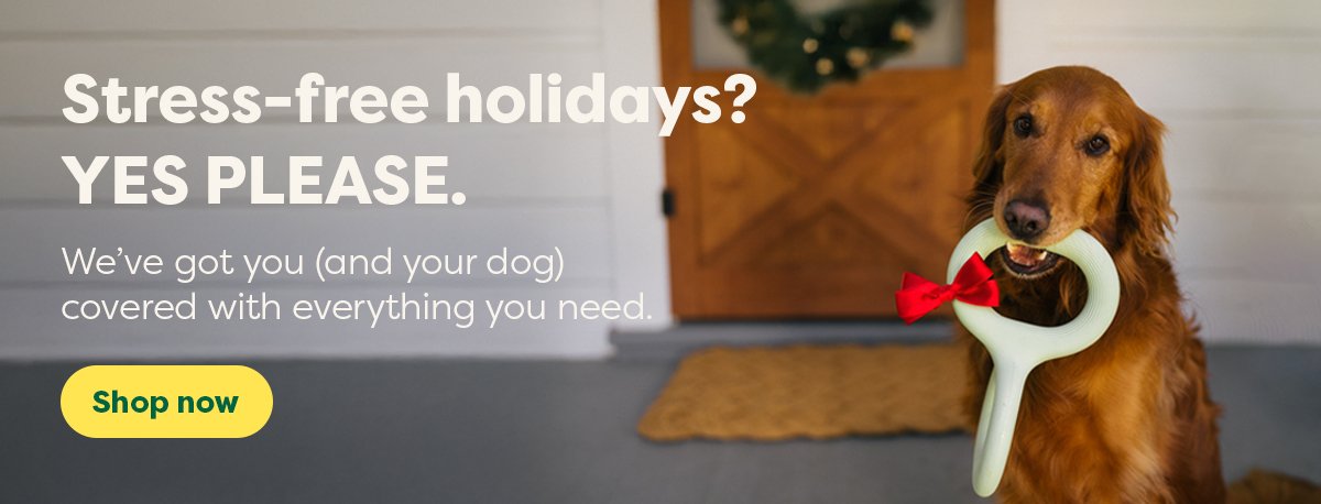 Stress-Free-Holidays_Email-Signature-Banner_20241126_V001_Option-A (1).jpg