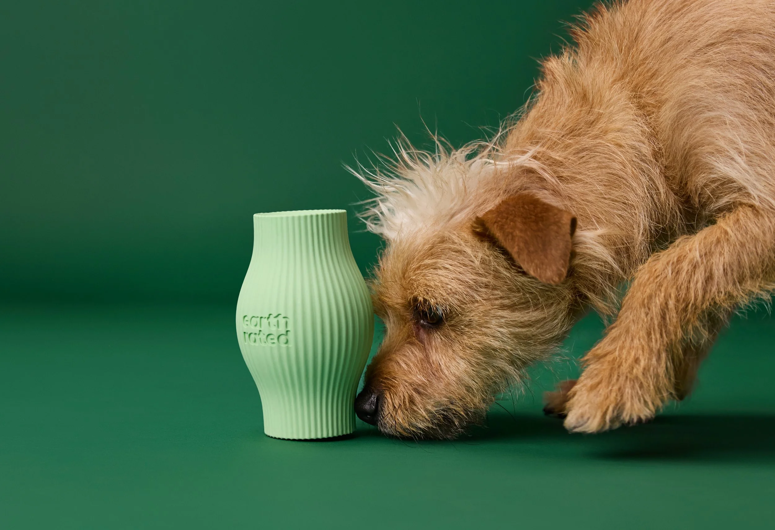 LOUIE_2443 1 (1).jpeg