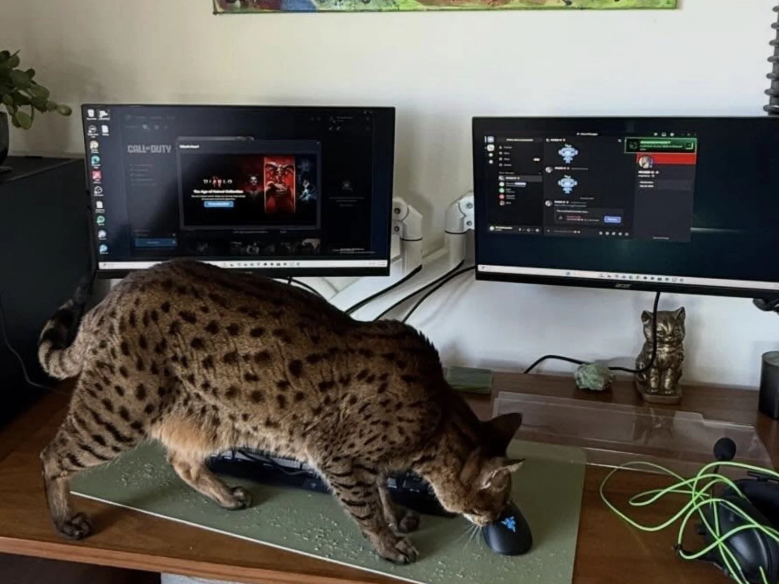 Tinashe: It’s a look into the R&amp;B hitmaker’s daily lifestyle adventures