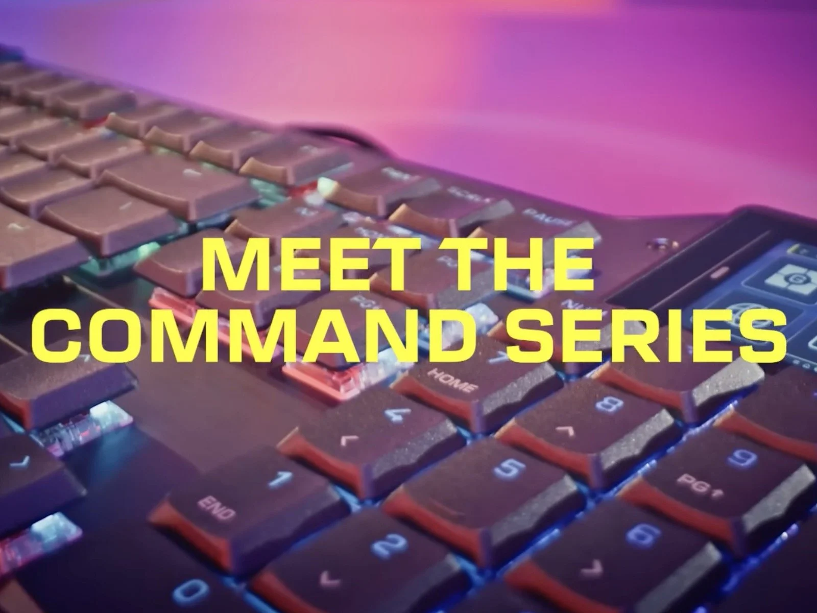 Turtle Beach: The Command Series of keyboards and mice are no joke