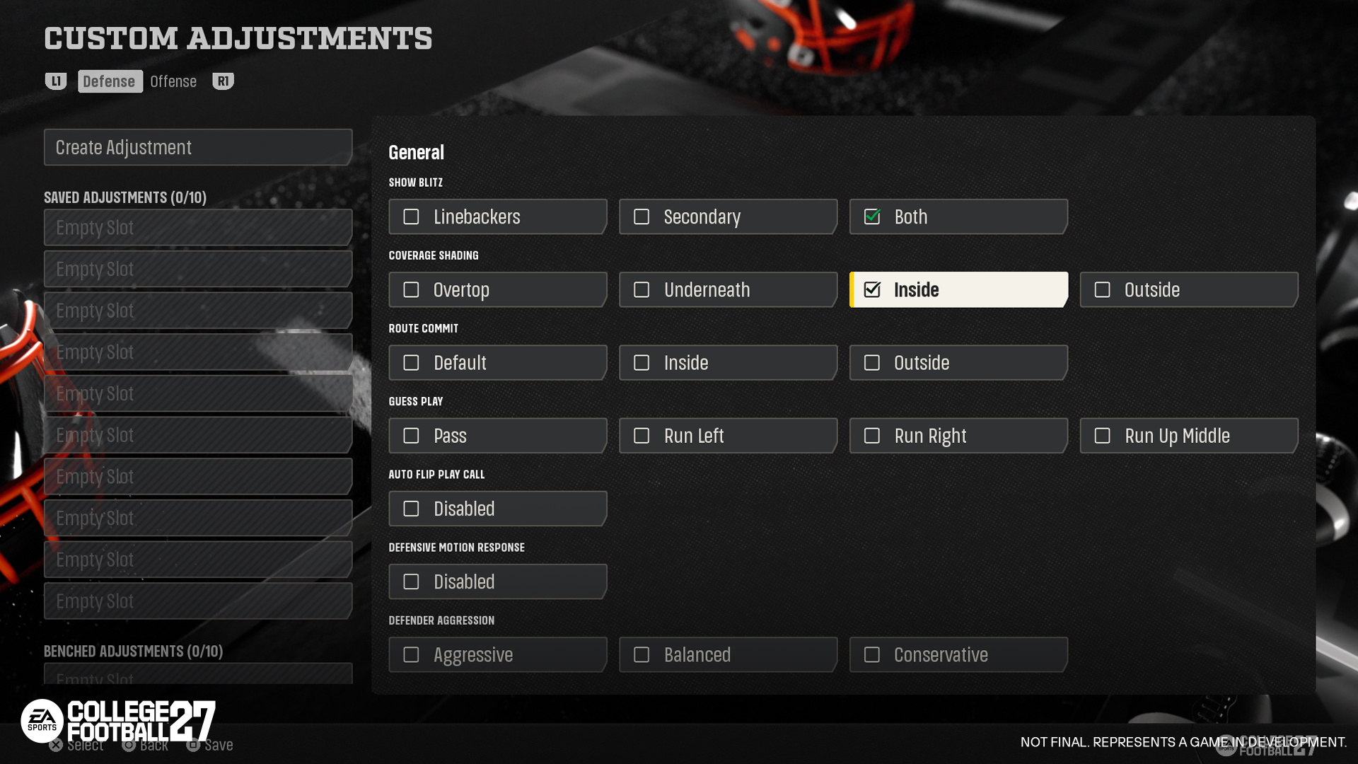Custom Adjustments WM.png