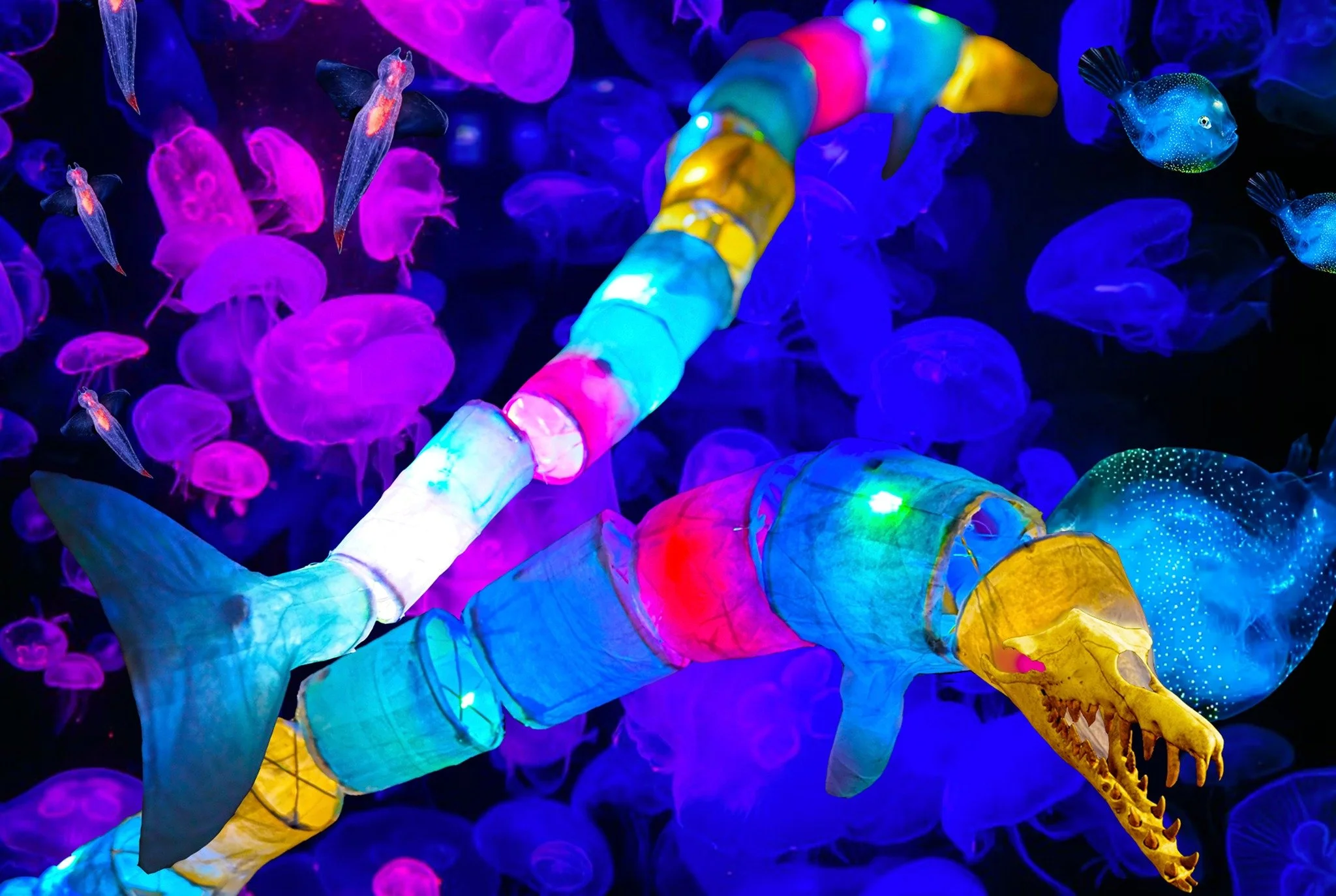 Dive Into a Prehistoric Adventure: Night of the Basilosaurus Comes to Bexleyheath