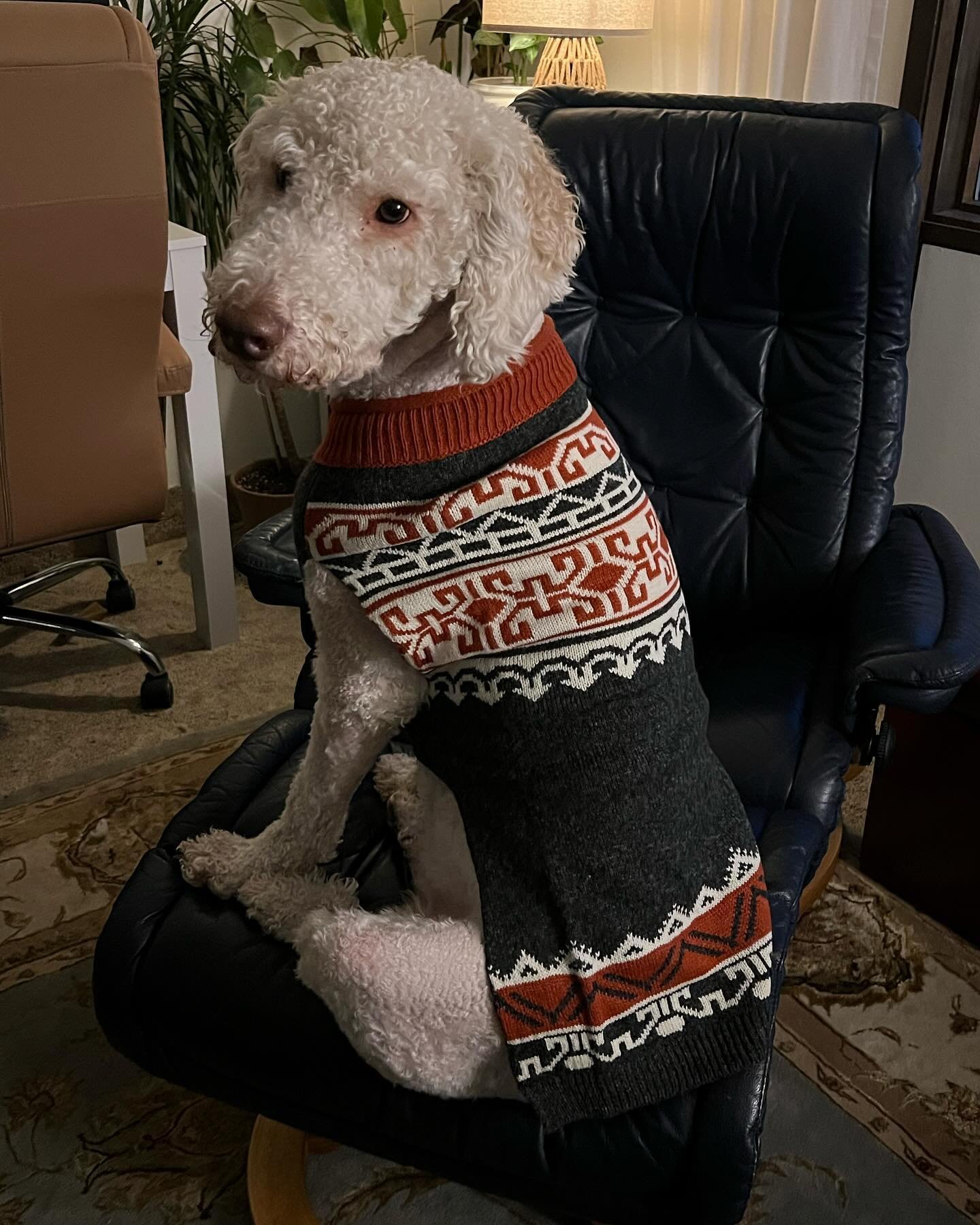 Holiday sweaters!