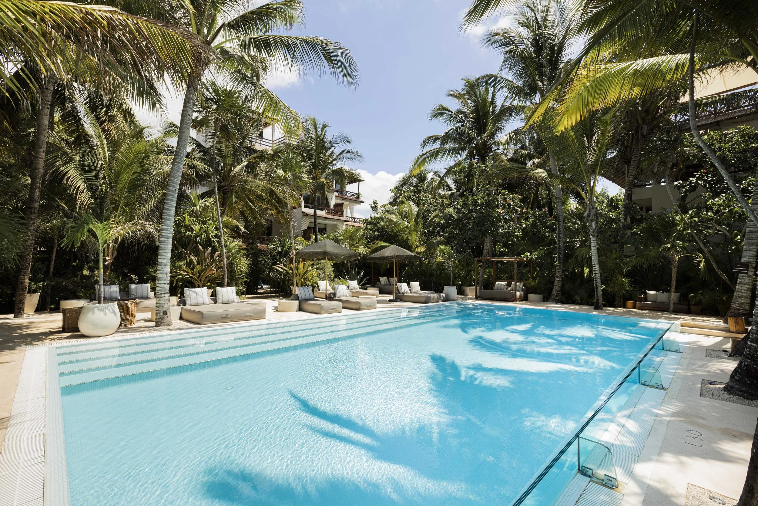 A luxurious outdoor swimming pool surrounded by tropical palm trees and lounge chairs with umbrellas at a resort or hotel in a tropical location.