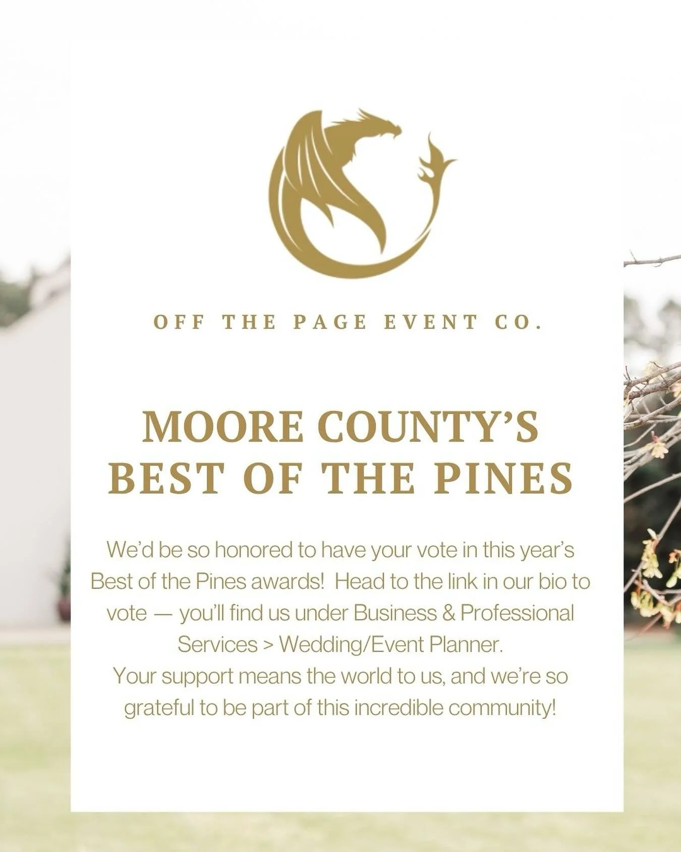 My darlings, I would be so honored if you voted for us in our county&rsquo;s Best of the Pines! Link in our bio✨