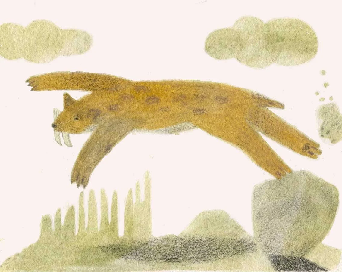 Saber Tooth Tiger