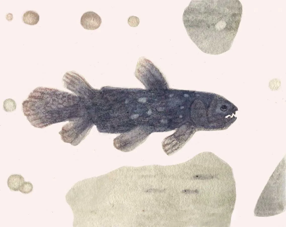 Coelacanth
