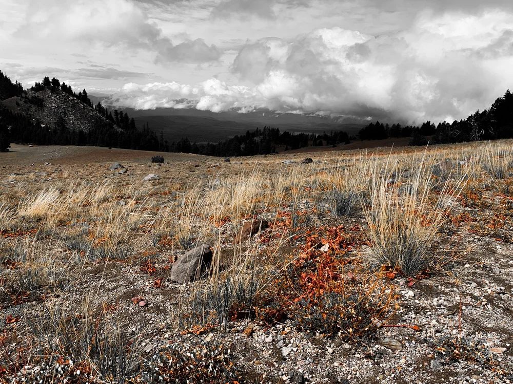 DC924E09-DF91-446F-8995-25B71C0BE86E.jpeg