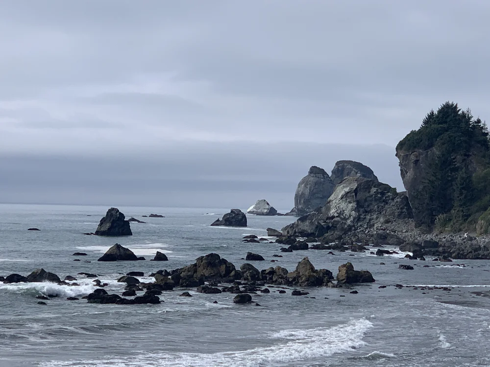 D234F179-1672-40FD-855C-FD6BC8BA5D3F.jpeg
