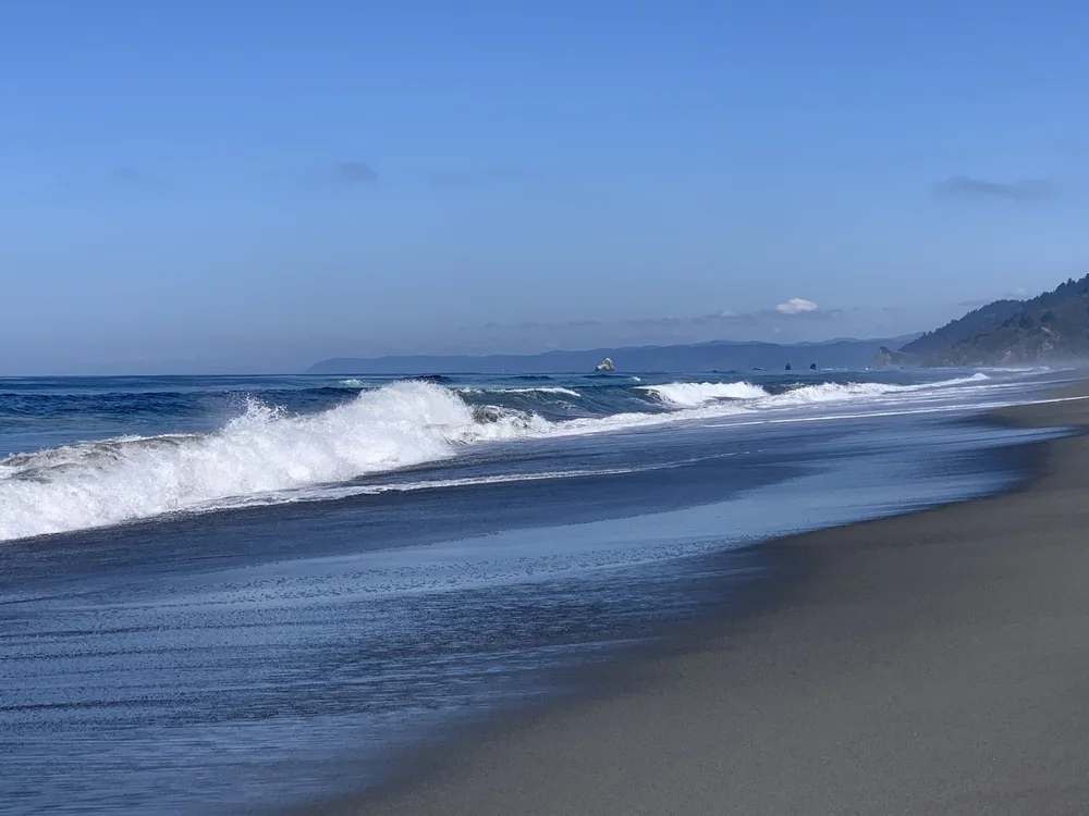 FF86CA60-1CC8-44C4-9917-E2D4782E1C82.jpeg