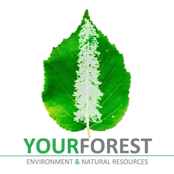 A green leaf with a white silhouette of a tree in the center, and the text "YOUR FOREST" with "YOUR" in green and "FOREST" in gray, along with the phrase "Environment & Natural Resources" below.