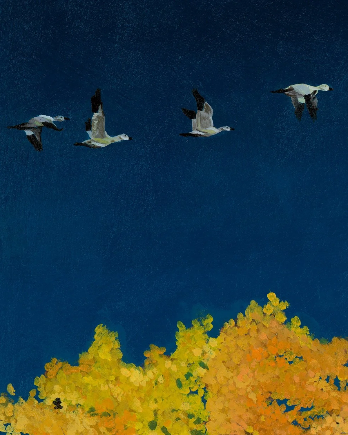 Swipe to see some snow geese 🪿 

#canadianart #canadianartist #oilpainting #aspenart #treescape #naturepainting #landscapepainting #colorfulart #artcloseup #artdetails #artcarousel #contemporaryart #fineart #artcollector #artforsale #paintingdetails