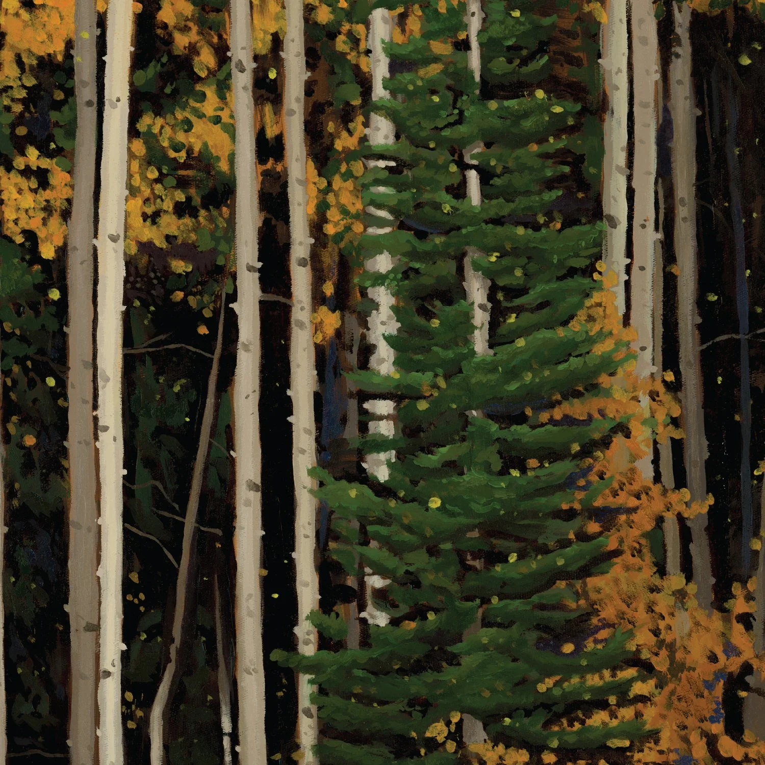 Closeup-02.jpg