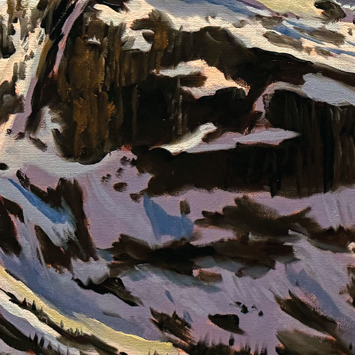 closeups-02.png