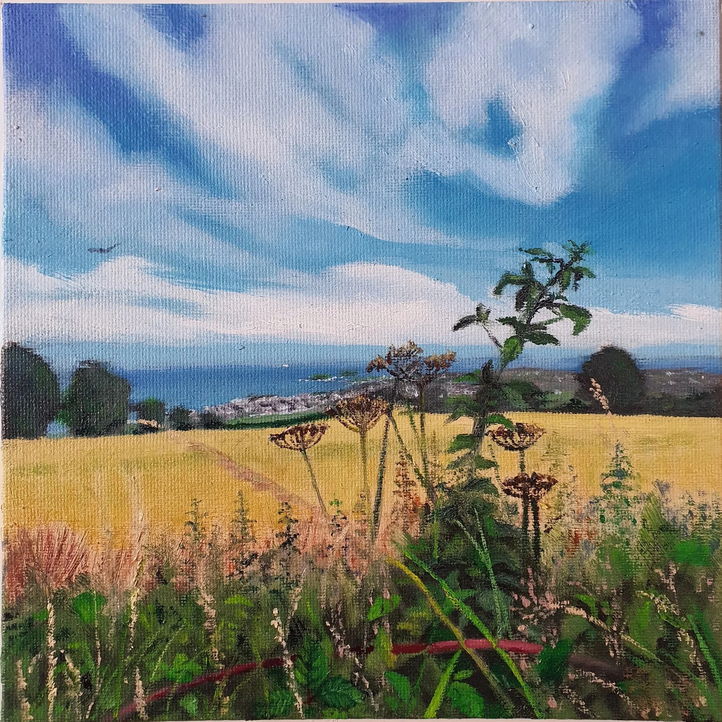 brambles, Skerries