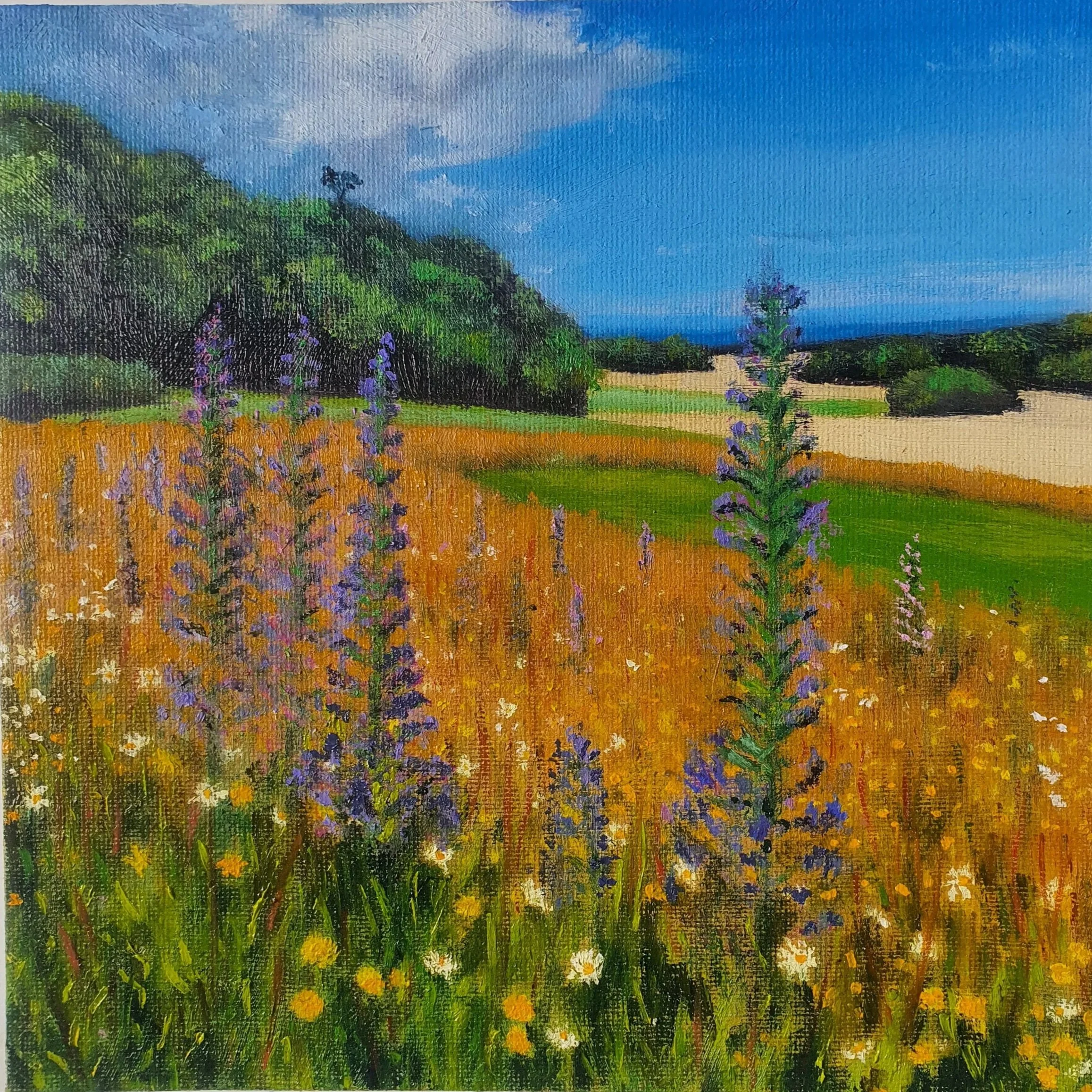 Summer flowers, Ardgillan Castle