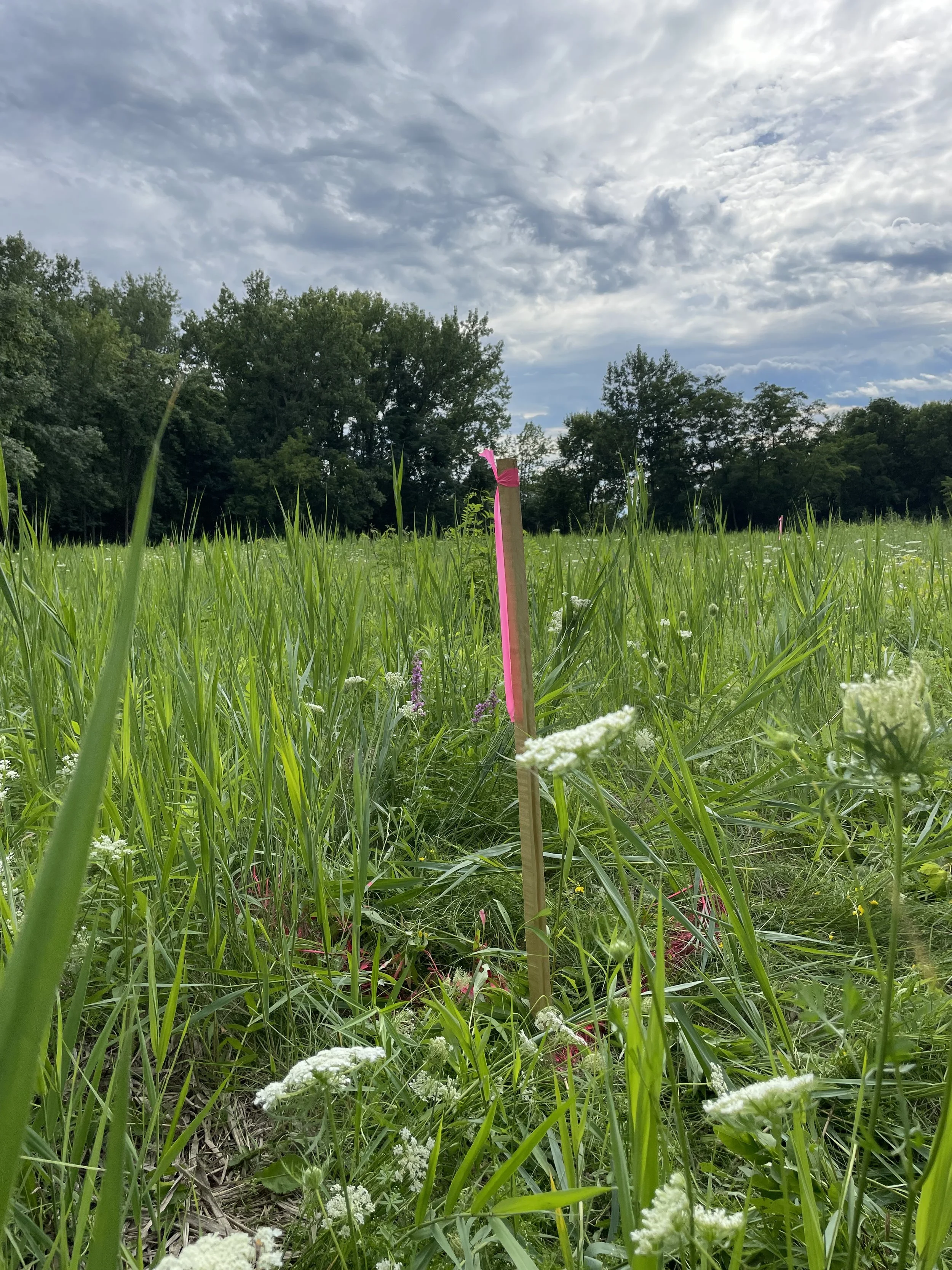 Site Work — Silt Bathhouse