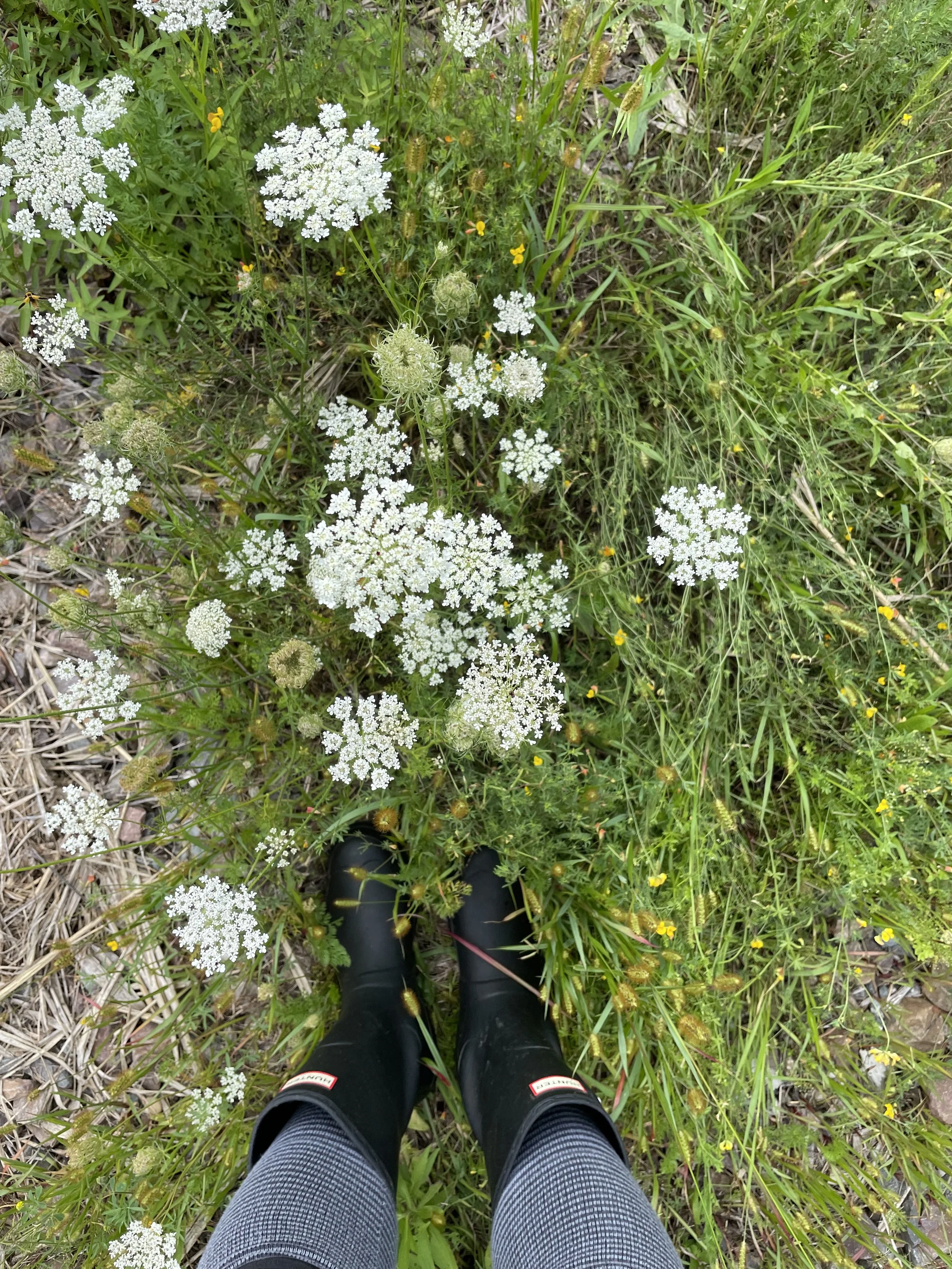 Updates — Silt Bathhouse