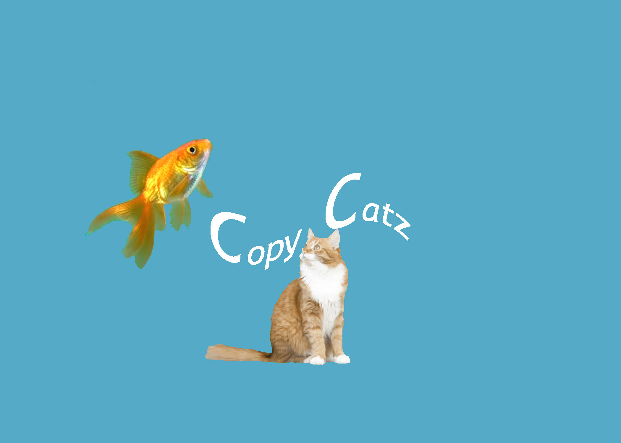 COPYCATZ (Copy)