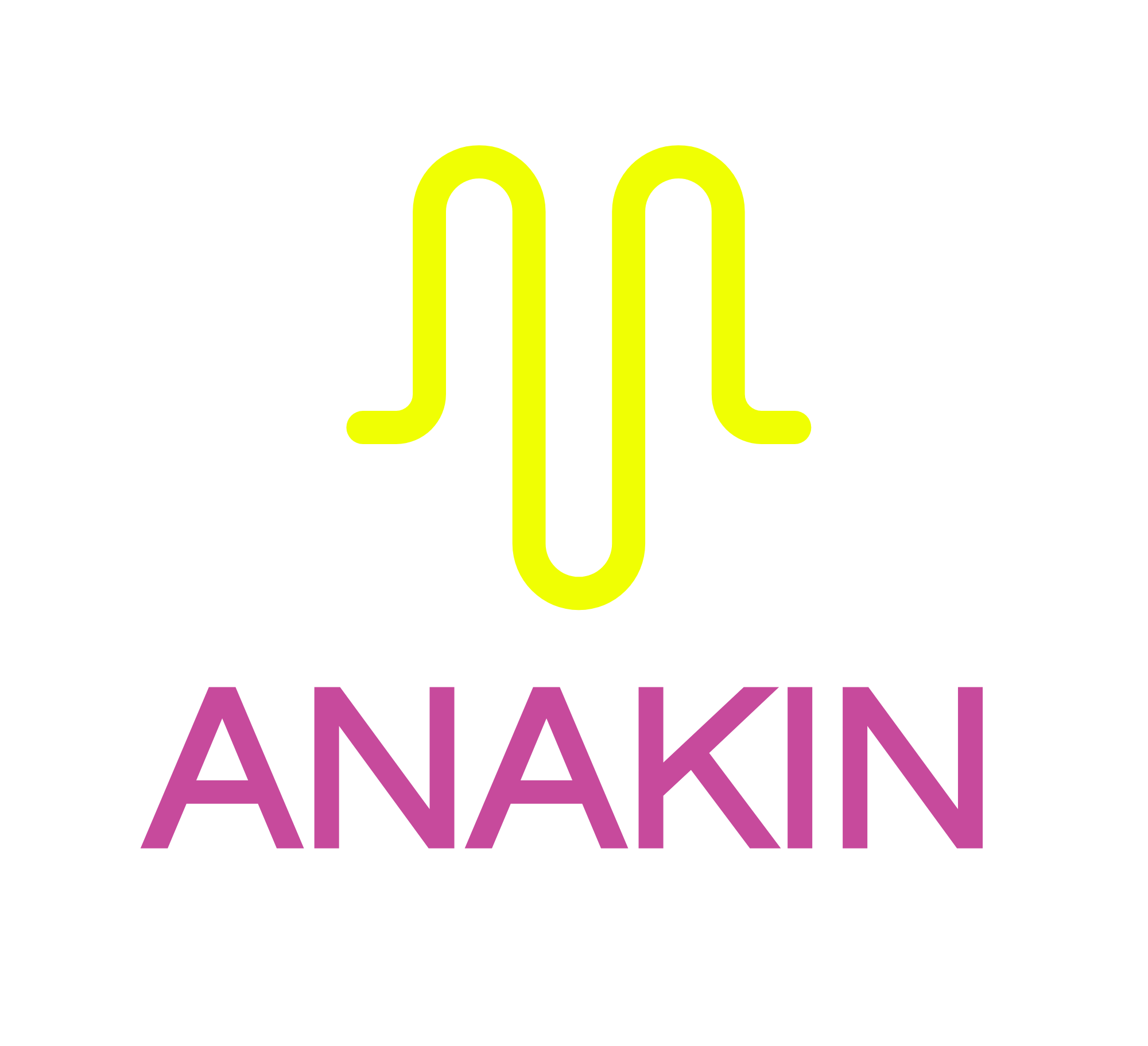 ANAKIN (Copy)