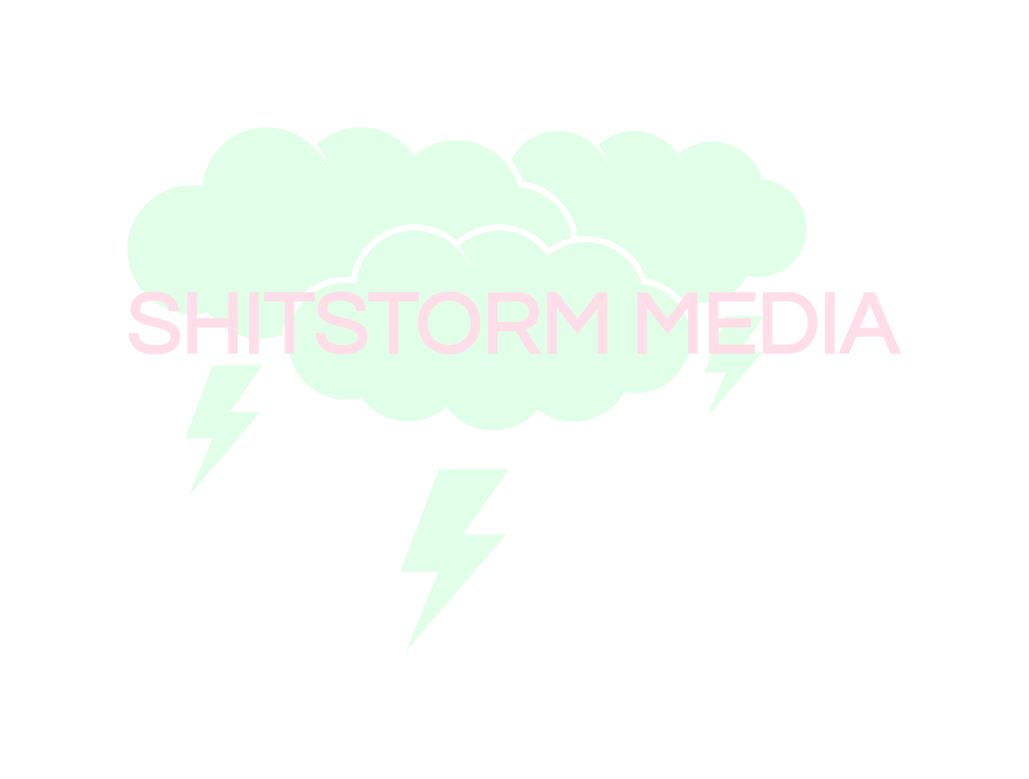 SHITSTORM MEDIA (Copy)