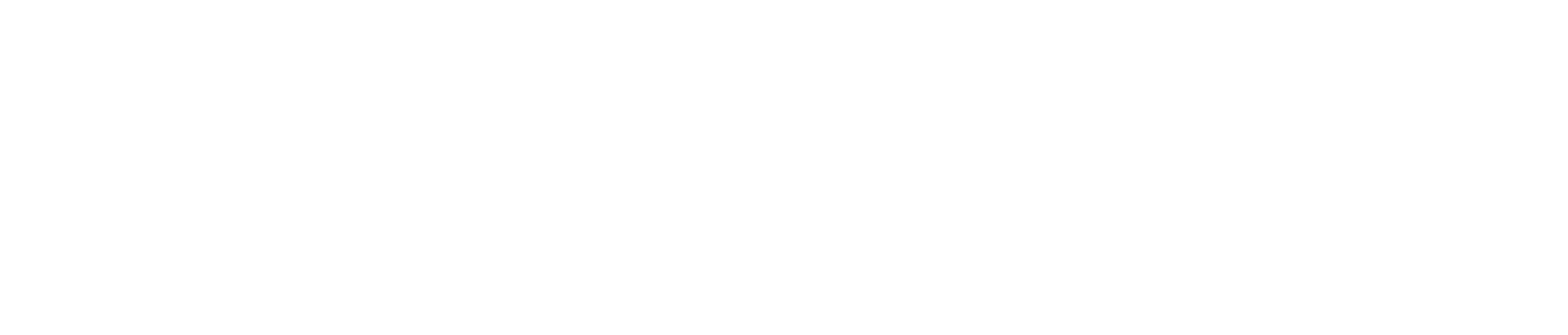 THE AGENCY-logo-white.png