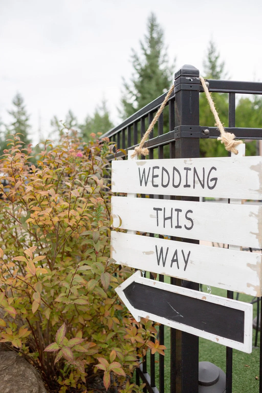 swalwellwedding-249.jpg