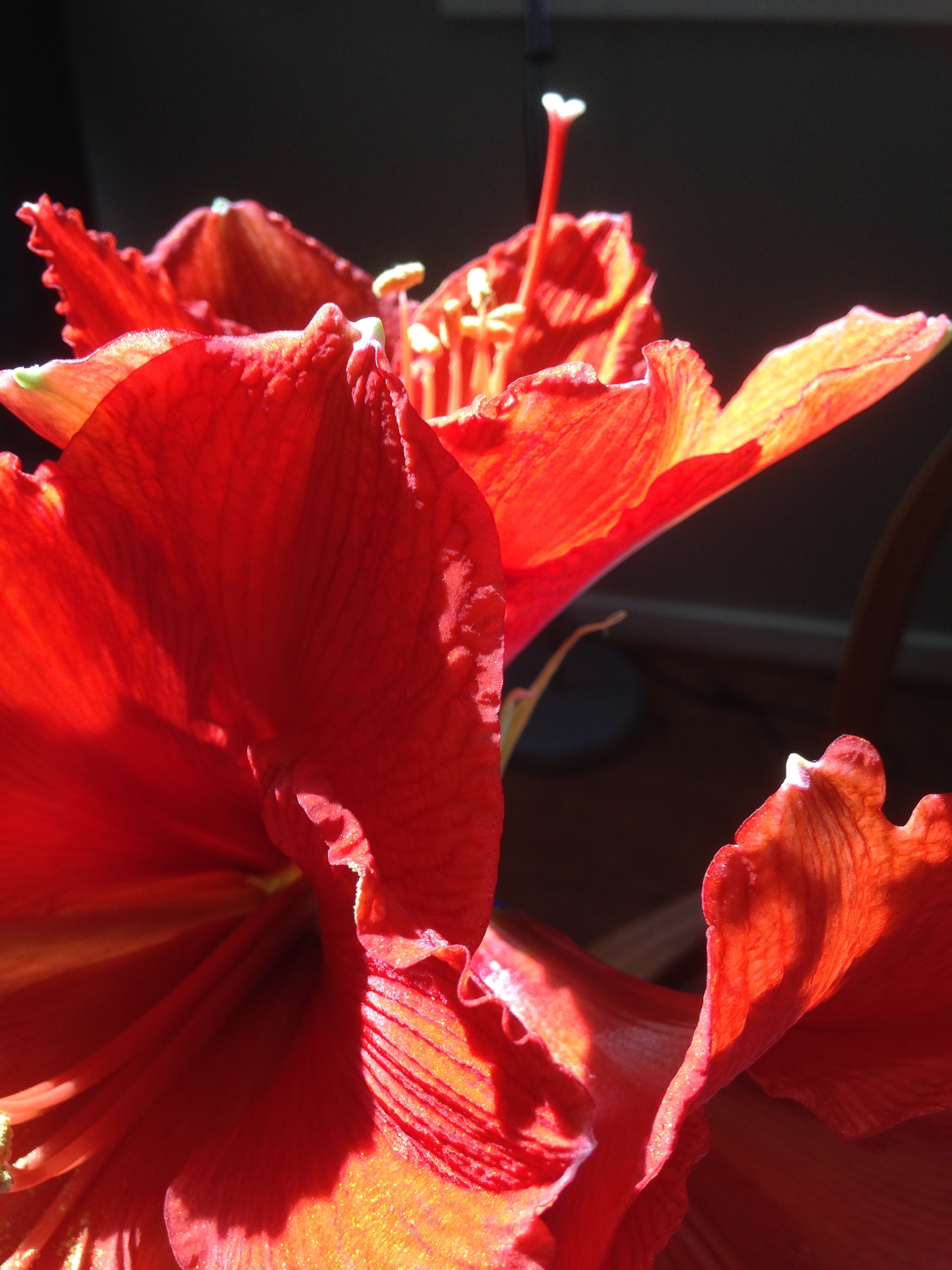 Harvesting the Light in Winter Darkness: Storyweaving Tips Featured in Pathways Magazine