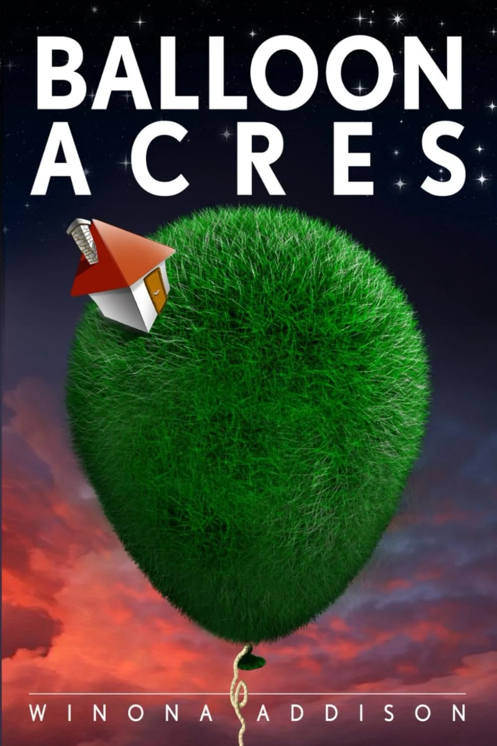 WInona Addison's 2024 novel