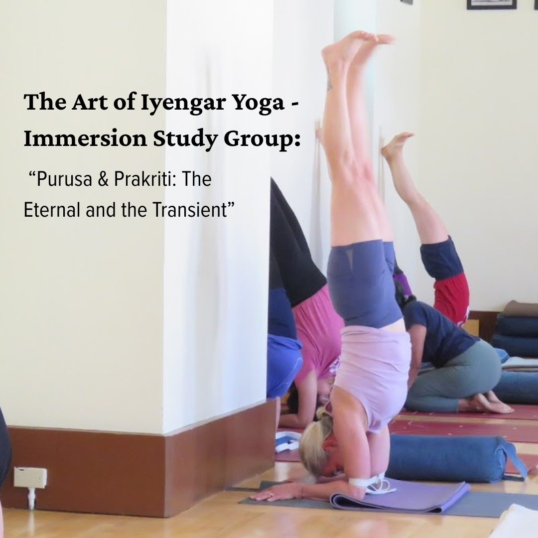 The Art of Iyengar Yoga - Immersion Study Group: “Purusa & Prakriti: The Eternal and the Transient” with Naomi Hiller Reynolds